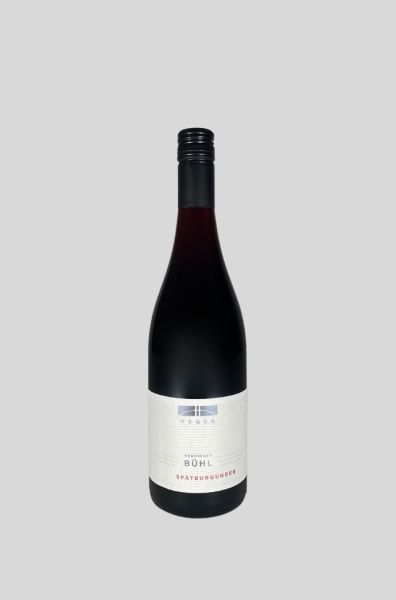2022 Merdinger Bühl Spätburgunder trocken