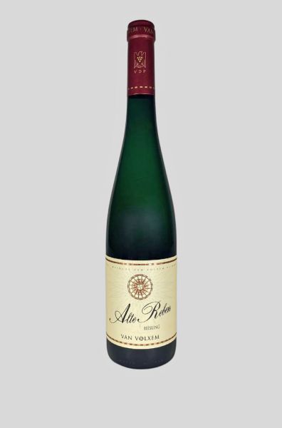 2022 'Alte Reben' Riesling