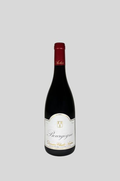 2024 Bourgogne rouge