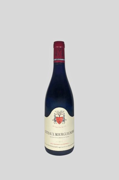 2023 Côteaux Bourguignons