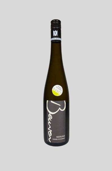 2020 'Junges Schwaben' Riesling