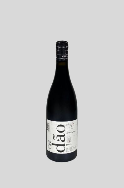 2019 Dão tinto