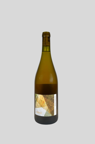2025 'Orenji' PRIMEUR