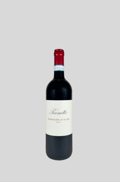 2023 Barbera d'Alba DOC