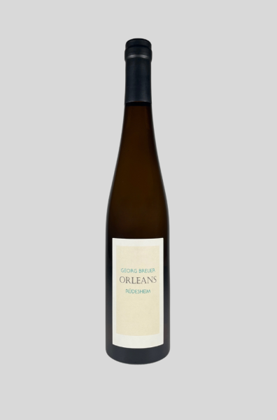 2023 BERG SCHLOSSBERG Orleans