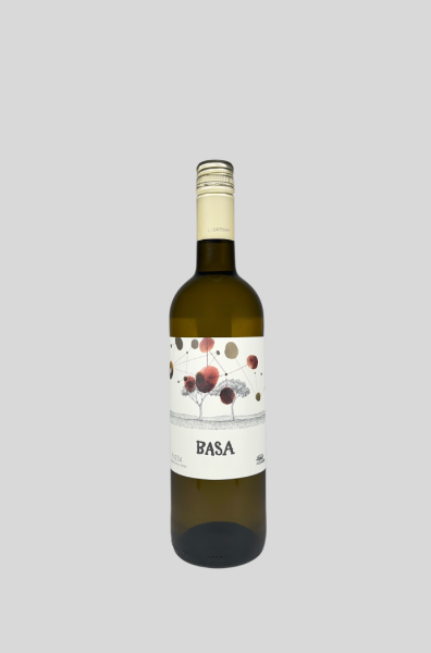 2024 BASA Blanco