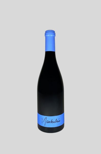 2022 Fläscher Pinot Noir