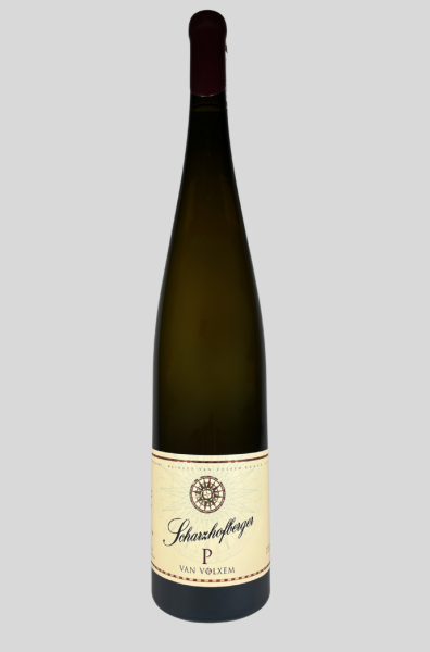 2022 PERGENTSKNOPP Riesling -GG-