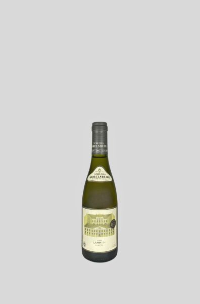 2023 Ried LAMM Grüner Veltliner