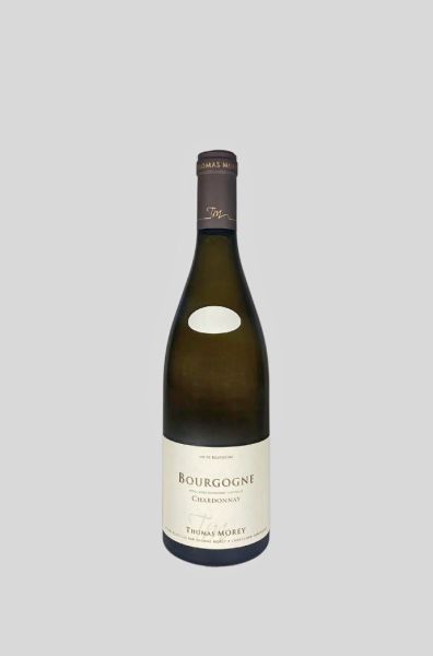 2023 Bourgogne blanc