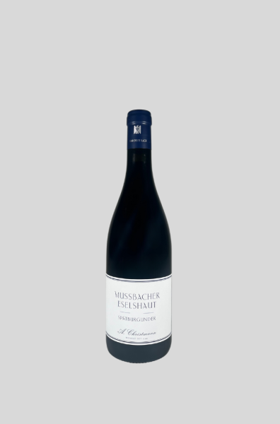 2021 Mussbacher Eselshaut Spätburgunder -1G-