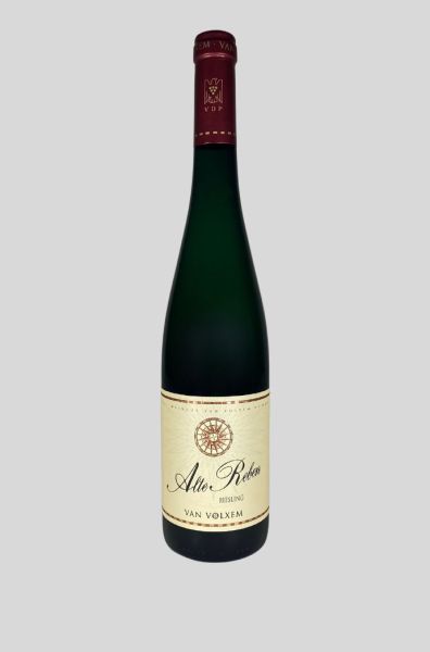 2024 'Alte Reben' Riesling