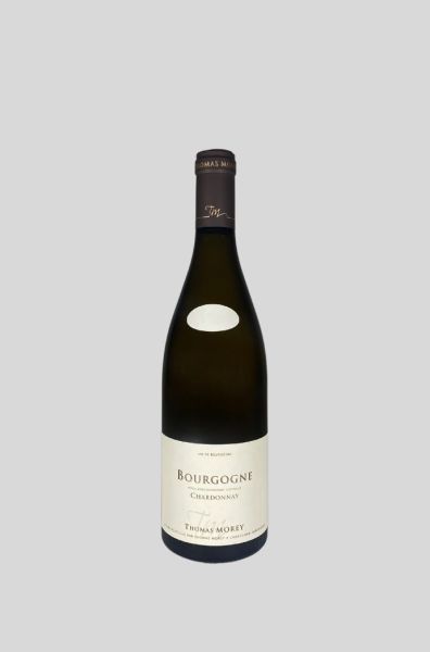 2024 Bourgogne blanc
