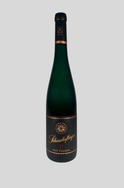 2024 PERGENTSKNOPP Riesling -GG-