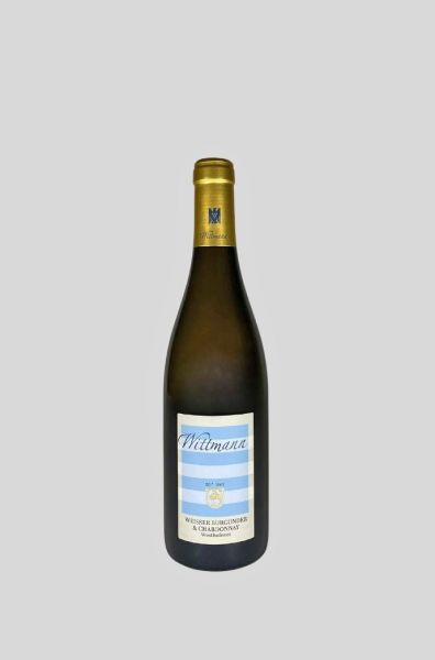 2023 Weißer Burgunder & Chardonnay
