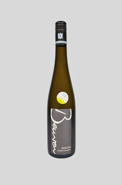 2022 'Junges Schwaben' Riesling