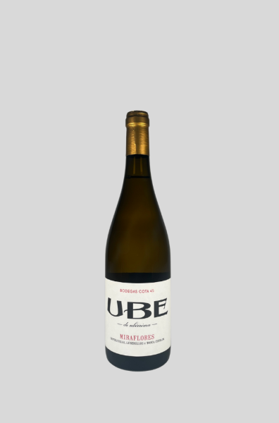 2025 UBE Miraflores