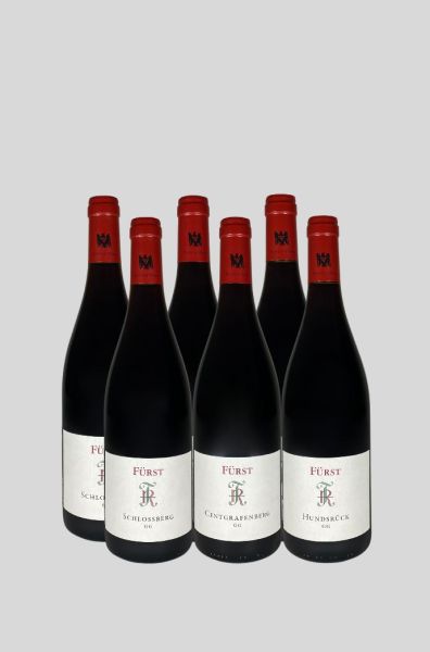 2023 Spätburgunder -GG- ASSORTIMENT